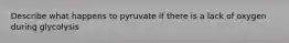 Describe what happens to pyruvate if there is a lack of oxygen during glycolysis