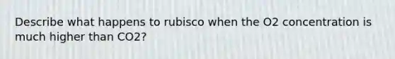 Describe what happens to rubisco when the O2 concentration is much higher than CO2?