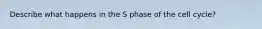 Describe what happens in the S phase of the cell cycle?