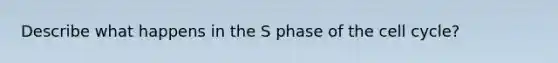 Describe what happens in the S phase of the cell cycle?