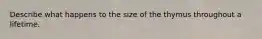 Describe what happens to the size of the thymus throughout a lifetime.