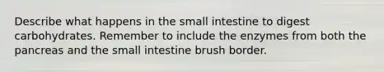 Describe what happens in the small intestine to digest carbohydrates. Remember to include the enzymes from both the pancreas and the small intestine brush border.