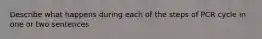 Describe what happens during each of the steps of PCR cycle in one or two sentences