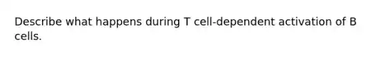 Describe what happens during T cell-dependent activation of B cells.