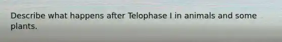 Describe what happens after Telophase I in animals and some plants.