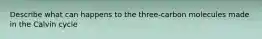 Describe what can happens to the three-carbon molecules made in the Calvin cycle