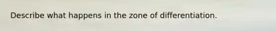 Describe what happens in the zone of differentiation.