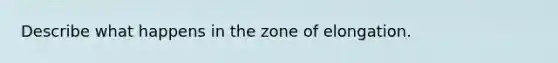 Describe what happens in the zone of elongation.