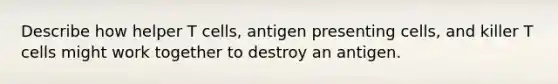 Describe how helper T cells, antigen presenting cells, and killer T cells might work together to destroy an antigen.