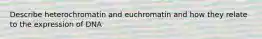 Describe heterochromatin and euchromatin and how they relate to the expression of DNA