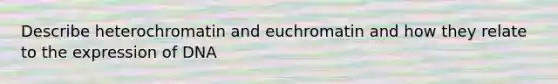 Describe heterochromatin and euchromatin and how they relate to the expression of DNA