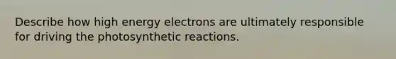 Describe how high energy electrons are ultimately responsible for driving the photosynthetic reactions.