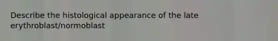 Describe the histological appearance of the late erythroblast/normoblast