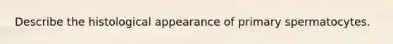 Describe the histological appearance of primary spermatocytes.