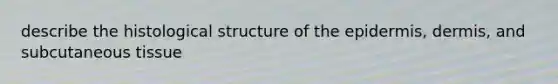 describe the histological structure of the epidermis, dermis, and subcutaneous tissue