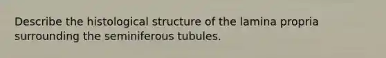 Describe the histological structure of the lamina propria surrounding the seminiferous tubules.