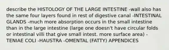 describe the HISTOLOGY OF THE LARGE INTESTINE -wall also has the same four layers found in rest of digestive canal -INTESTINAL GLANDS -much more absorption occurs in <a href='https://www.questionai.com/knowledge/kt623fh5xn-the-small-intestine' class='anchor-knowledge'>the small intestine</a> than in the large intestine (large one doesn't have circular folds or intestinal villi that give small intest. more <a href='https://www.questionai.com/knowledge/kEtsSAPENL-surface-area' class='anchor-knowledge'>surface area</a>) -TENIAE COLI -HAUSTRA -OMENTAL (FATTY) APPENDICES