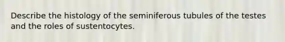 Describe the histology of the seminiferous tubules of the testes and the roles of sustentocytes.