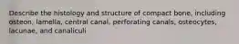 Describe the histology and structure of compact bone, including osteon, lamella, central canal, perforating canals, osteocytes, lacunae, and canaliculi