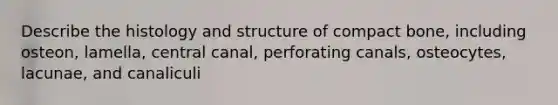 Describe the histology and structure of compact bone, including osteon, lamella, central canal, perforating canals, osteocytes, lacunae, and canaliculi