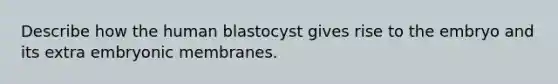 Describe how the human blastocyst gives rise to the embryo and its extra embryonic membranes.