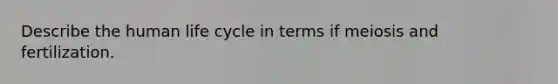 Describe the human life cycle in terms if meiosis and fertilization.