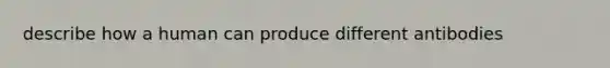 describe how a human can produce different antibodies