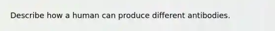 Describe how a human can produce different antibodies.