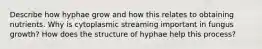 Describe how hyphae grow and how this relates to obtaining nutrients. Why is cytoplasmic streaming important in fungus growth? How does the structure of hyphae help this process?