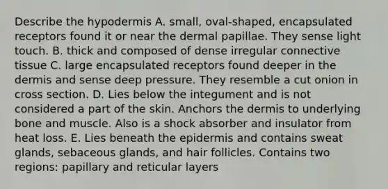 Describe the hypodermis A. small, oval-shaped, encapsulated receptors found it or near the dermal papillae. They sense light touch. B. thick and composed of dense irregular connective tissue C. large encapsulated receptors found deeper in the dermis and sense deep pressure. They resemble a cut onion in cross section. D. Lies below the integument and is not considered a part of the skin. Anchors the dermis to underlying bone and muscle. Also is a shock absorber and insulator from heat loss. E. Lies beneath the epidermis and contains sweat glands, sebaceous glands, and hair follicles. Contains two regions: papillary and reticular layers