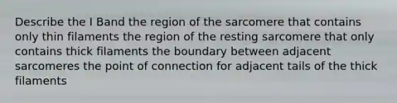 Describe the I Band the region of the sarcomere that contains only thin filaments the region of the resting sarcomere that only contains thick filaments the boundary between adjacent sarcomeres the point of connection for adjacent tails of the thick filaments