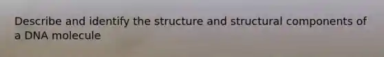 Describe and identify the structure and structural components of a DNA molecule