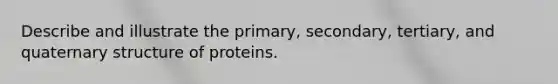 Describe and illustrate the primary, secondary, tertiary, and quaternary structure of proteins.