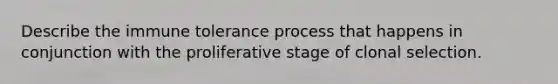 Describe the immune tolerance process that happens in conjunction with the proliferative stage of clonal selection.