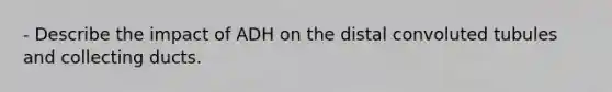 - Describe the impact of ADH on the distal convoluted tubules and collecting ducts.