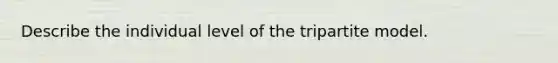 Describe the individual level of the tripartite model.