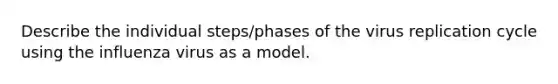 Describe the individual steps/phases of the virus replication cycle using the influenza virus as a model.