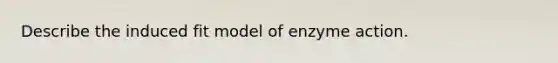 Describe the induced fit model of enzyme action.