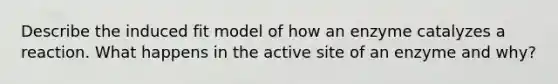 Describe the induced fit model of how an enzyme catalyzes a reaction. What happens in the active site of an enzyme and why?