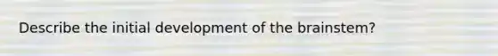 Describe the initial development of the brainstem?