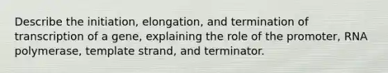 Describe the initiation, elongation, and termination of transcription of a gene, explaining the role of the promoter, RNA polymerase, template strand, and terminator.