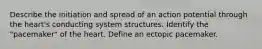 Describe the initiation and spread of an action potential through the heart's conducting system structures. Identify the "pacemaker" of the heart. Define an ectopic pacemaker.