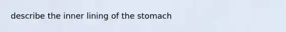 describe the inner lining of <a href='https://www.questionai.com/knowledge/kLccSGjkt8-the-stomach' class='anchor-knowledge'>the stomach</a>