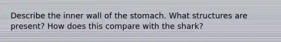 Describe the inner wall of the stomach. What structures are present? How does this compare with the shark?