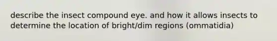 describe the insect compound eye. and how it allows insects to determine the location of bright/dim regions (ommatidia)