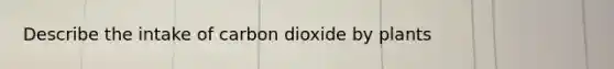 Describe the intake of carbon dioxide by plants