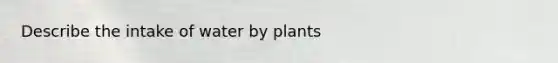 Describe the intake of water by plants