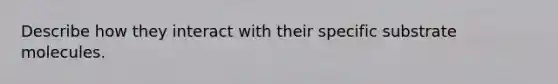 Describe how they interact with their specific substrate molecules.