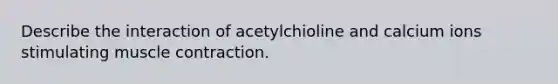 Describe the interaction of acetylchioline and calcium ions stimulating muscle contraction.