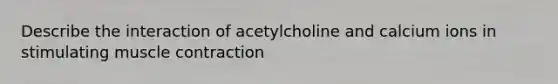 Describe the interaction of acetylcholine and calcium ions in stimulating muscle contraction